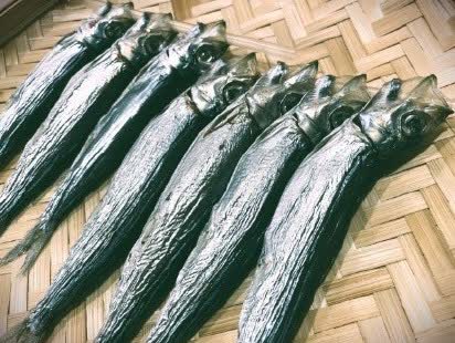 うまい魚屋ほうさく