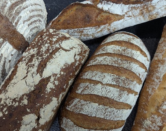 パンノハスミ 写真1